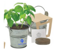 MINI PAIL BLOSSOM KIT w/SEEDS & PLANTER